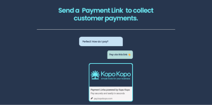 🔗 Introducing Payment Links — Send payment requests via WhatsApp, Instagram, TikTok and more!